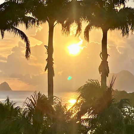Superbe Studio Martinique Vue Rocher Du Diamant サント・リュス エクステリア 写真