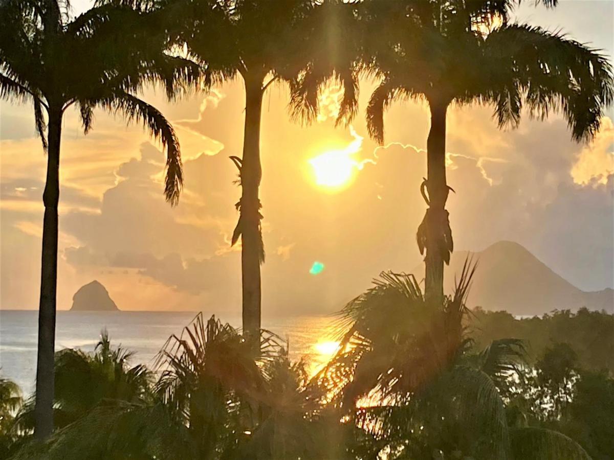 Superbe Studio Martinique Vue Rocher Du Diamant サント・リュス エクステリア 写真